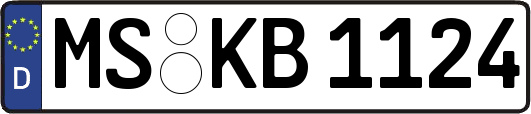 MS-KB1124