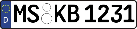 MS-KB1231