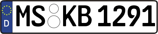 MS-KB1291