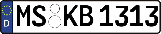 MS-KB1313