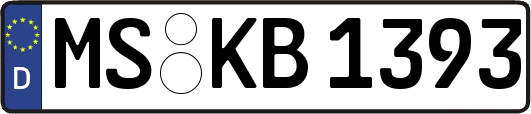 MS-KB1393