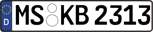MS-KB2313