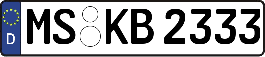 MS-KB2333