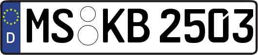 MS-KB2503