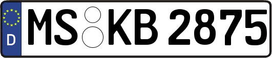 MS-KB2875