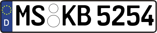 MS-KB5254
