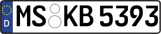 MS-KB5393