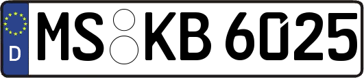 MS-KB6025