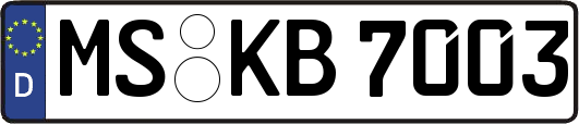 MS-KB7003
