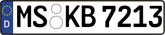 MS-KB7213