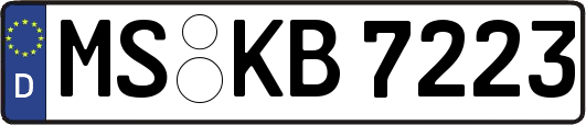 MS-KB7223