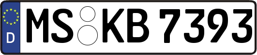 MS-KB7393