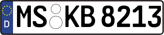 MS-KB8213