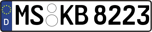 MS-KB8223