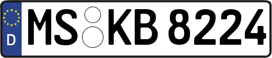 MS-KB8224