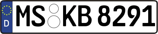 MS-KB8291