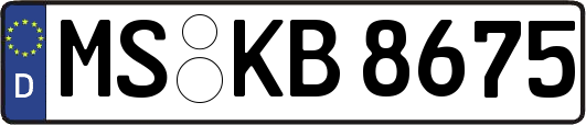 MS-KB8675