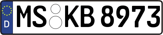 MS-KB8973