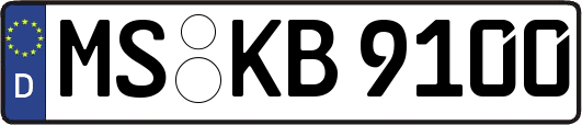 MS-KB9100