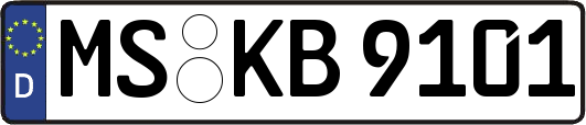 MS-KB9101