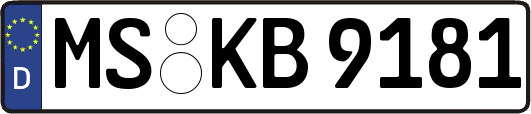 MS-KB9181