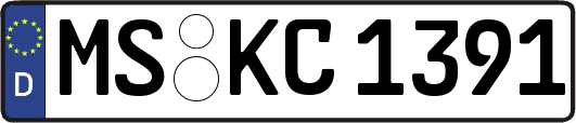 MS-KC1391