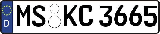 MS-KC3665