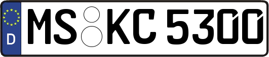 MS-KC5300