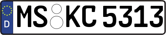 MS-KC5313
