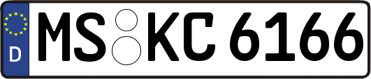 MS-KC6166