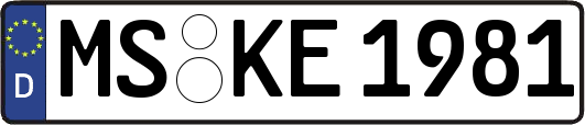 MS-KE1981