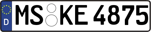 MS-KE4875