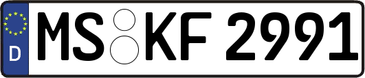 MS-KF2991