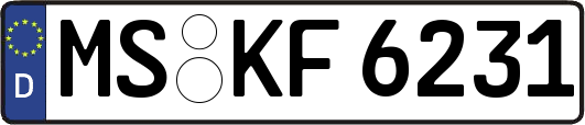 MS-KF6231