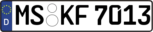 MS-KF7013