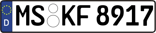 MS-KF8917