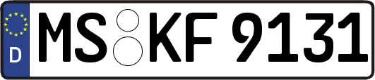 MS-KF9131