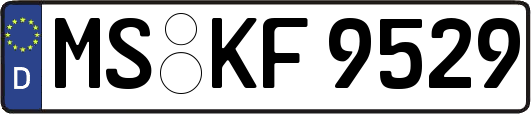 MS-KF9529