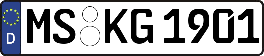 MS-KG1901