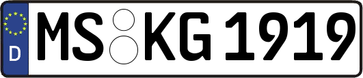 MS-KG1919