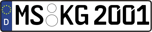 MS-KG2001