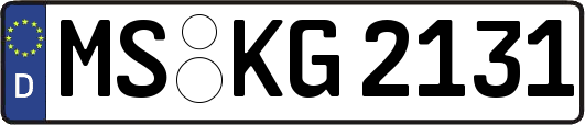 MS-KG2131
