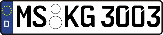 MS-KG3003