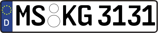 MS-KG3131