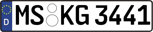 MS-KG3441