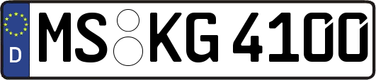 MS-KG4100