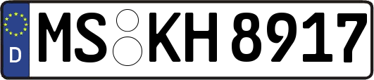 MS-KH8917