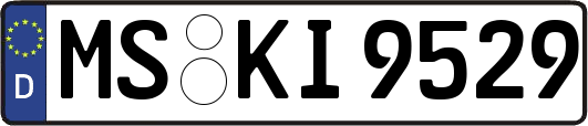 MS-KI9529