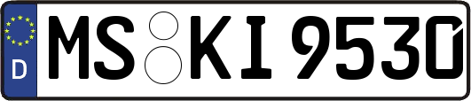 MS-KI9530