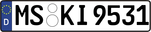 MS-KI9531